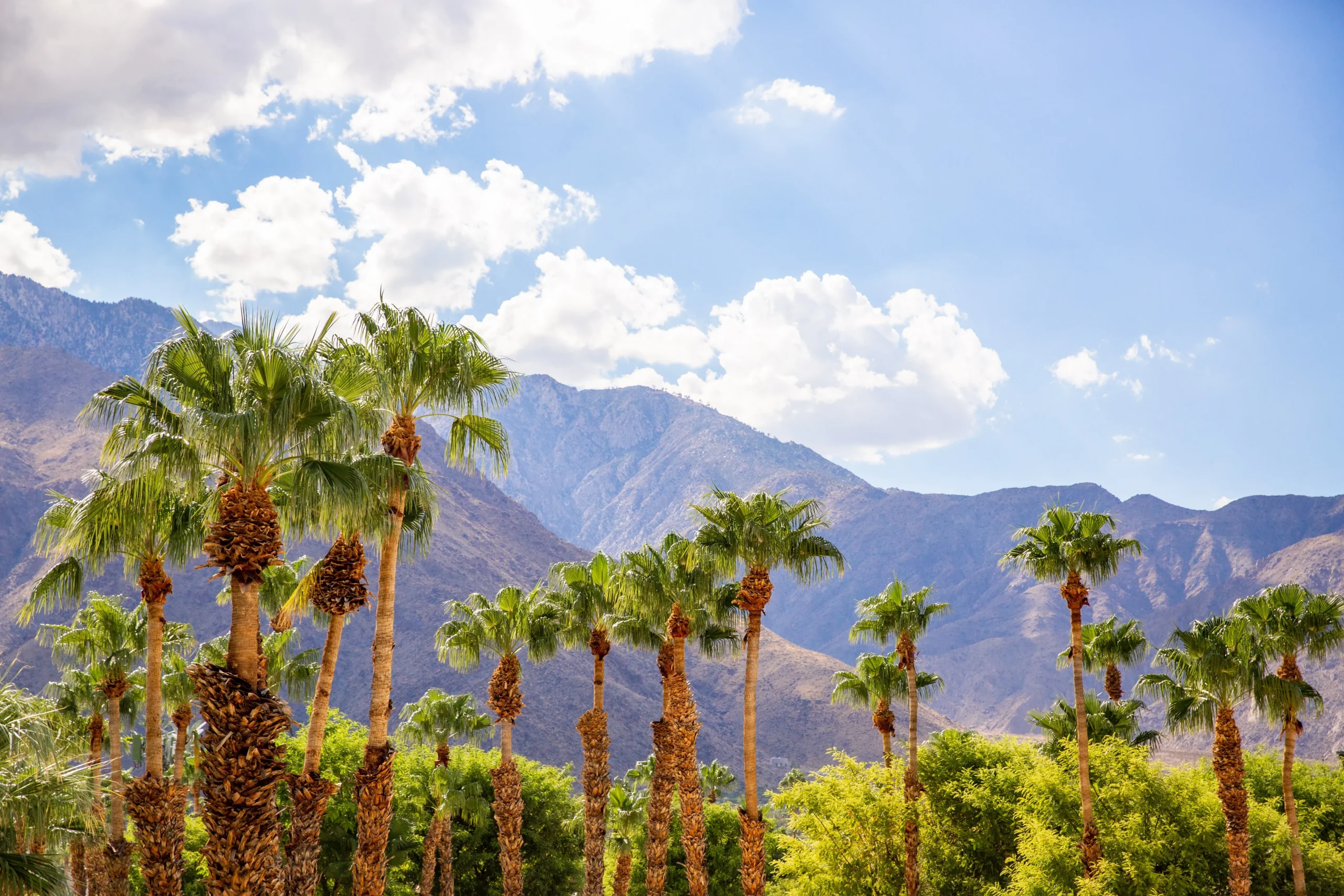 Deja-View Palm Springs Mountains